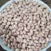 قیمت لوبیا چیتی ۵۰۰ گرم داوریژ | دویست و چهل و هشت هزار تومان