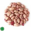 قیمت لوبیا چیتی اعلا ۵۰۰ گرم | صد و هشتاد و نه هزار تومان