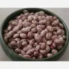 قیمت لوبیا چیتی امسالی درجه یک ۱ کیلوگرم زود پز | سیصد و چهل و هفت هزار تومان