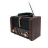 قیمت رادیو مدل NS-8107bt