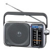 قیمت رادیو پاناسونیک مدل RF-2400D