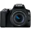 قیمت دوربین عکاسی کانن مدل EOS 250D Kit EF-S 18-55 mm f/4-5.6 IS STM | صد و بیست و هشت میلیون تومان