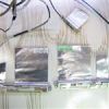 قیمت DELL XPS M1530 notebook wireless Antennes cable/ کابل آنتن بی...