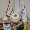 قیمت Panke saghfi yosha model g