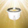 قیمت پلوپز تایمردار 5 نفره مه پویا مدل TM-500