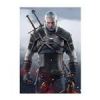 قیمت متال پوستر گیمینگ ویچر Witcher کد N201