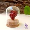 قیمت قلب آناتومیک سه بعدی