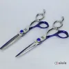 قیمت ست قیچی آرایشگری فینی مدل A-B60-36 سایز ۶ اینچ | شش میلیون و ششصد هزار تومان