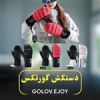 قیمت دستکش گورتکس GOLOV.EJOY مدلSK31