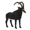 قیمت بز کوهی بزرگ سیاه موجو Giant Sable Antelope 387145