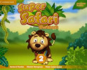 قیمت فلش کارت Super Safari 2