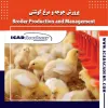 قیمت 