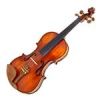 قیمت Fender 150 Acoustic Violin