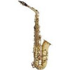 قیمت ساکسیفون آلتو استگ مدل WS-AS215S