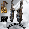 قیمت ساکسیفون آلتو بولرا saxsophone Bolera مدل B-Gold