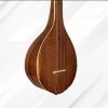قیمت سه تار عطا