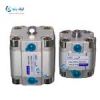 قیمت جک کامپکت پنوماتیک 50×20 ADVU ال ام سی LMC