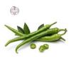قیمت بذر فلفل تند سبز -pepper