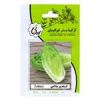 قیمت بذر کاهو سالادی