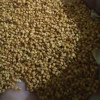 قیمت بذر کاملینا فله
