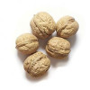 قیمت نهال گردو تویسرکان