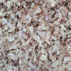 قیمت بذر انغوزه شیرین طبس 1000 گرمی