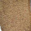 قیمت بذر یونجه (تخم یونجه) - 1 کیلو
