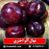 قیمت نهال آلو اختری