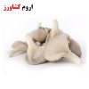 قیمت بذر قارچ صدفی (بسته 1/2 کیلویی)