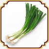 قیمت بذر پیازچه - Scallion seed