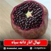 قیمت نهال انار دانه سیاه