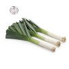 قیمت بذر سبزی تره فرنگی - Leek seed
