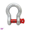 قیمت شگل مدل الفنت کد YP-12TON