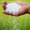 قیمت 
