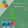قیمت 