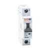 قیمت کلید مینیاتوری 1 پل 2 آمپر RB-MD-1P-C02-10kA رعد