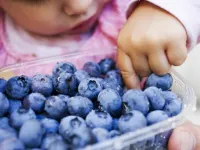 از چه سنی میتوان به کودک بلوبری داد؟