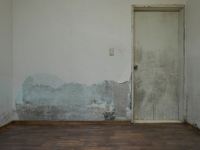 دلایل کپک زدن دیوار و روش هایی برای جلوگیری و رفع آن