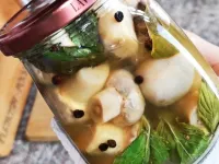 طرز تهیه ترشی قارج تُرد و خوشمزه، با ترفند شل و سیاه نشدن