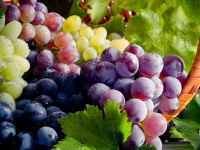 دانستنی هایی درمورد کالری، ارزش غذایی و خواص انگور