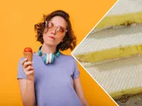 فرق بین بستنی سنتی و بستنی میوه ای؛ مقایسه ای شیرین میان دو طعم محبوب!
