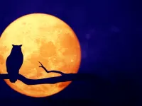 ماه گرفتگی ۱۶ شهریور ۱۴۰۴ را با این ترفند ها بهتر ببینید! بهترین روش دیدن ماه گرفتگی
