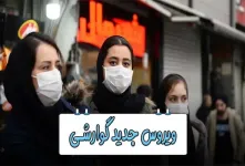 ویروس جدید گوارشی [ آیا آنفولانزای معده واقعی است؟ ]