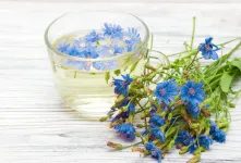 عرق کاسنی چه تاثیری در کاهش وزن دارد ؟