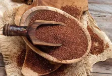 خاکشیر و درمان سنگ کلیه ، راهکارهای طبیعی و مؤثر