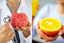 خواص پرتقال برای مغز / تقویت حافظه و بهبود عملکرد شناختی