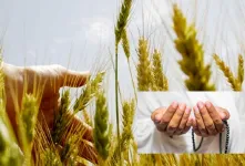 زکات باطنی چیست؟ پاکسازی روح و تزکیه نفس
