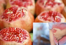 خواص انار / چگونه به بهبود عملکرد معده و روده کمک می‌کند؟