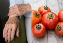 تاثیر گوجه فرنگی بر آرتروز و فواید آن برای سلامت مفاصل