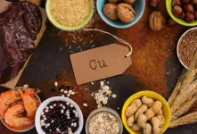 غذاهای حاوی مس کدامند؟